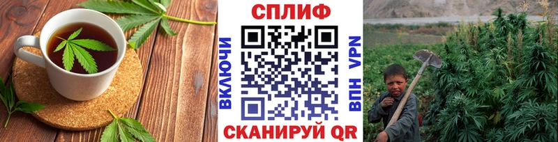 купить   Мурино  Печенье с ТГК конопля 