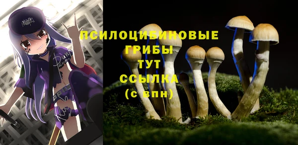 mix Абаза