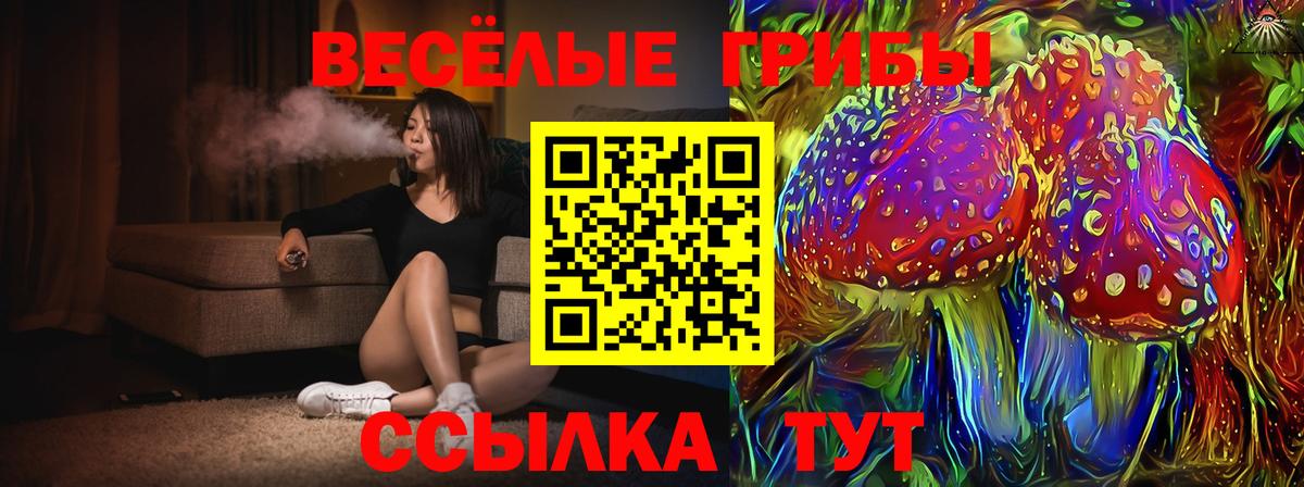 Псилоцибиновые грибы ЛСД  Вход с VPN  Мурино 