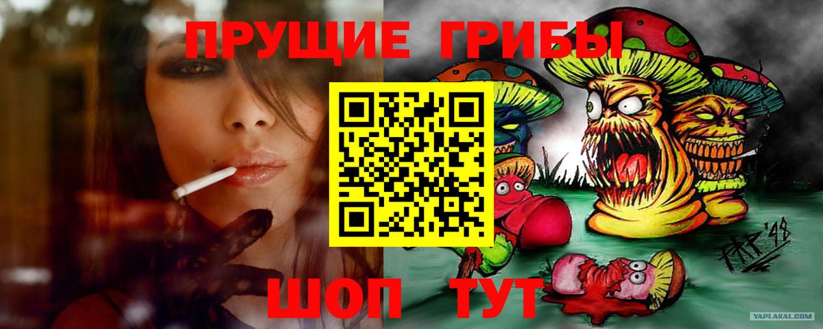 Псилоцибиновые грибы GOLDEN TEACHER Мурино